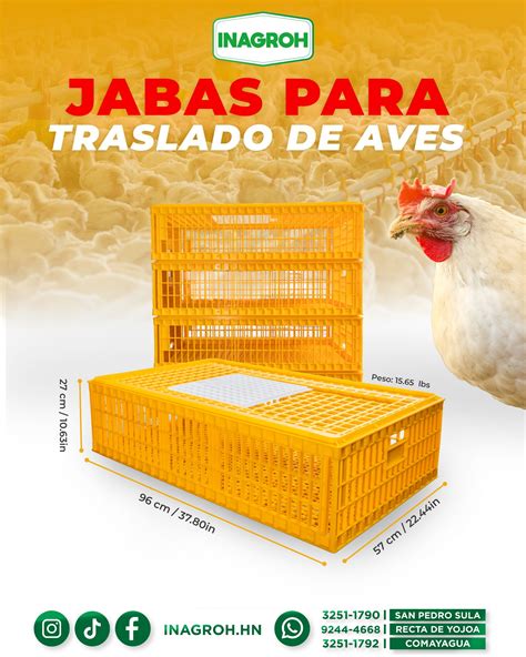 Inagroh - 🐔 ¡Translada tus aves con seguridad y... | Facebook