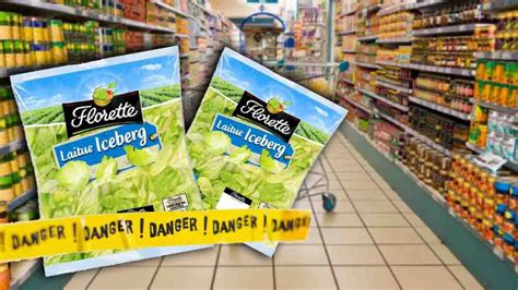 Rappel produit attention à ces sachets de salade iceberg contaminés