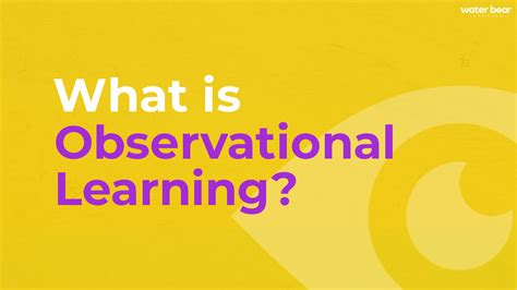 What Is Observational Learning Wbl