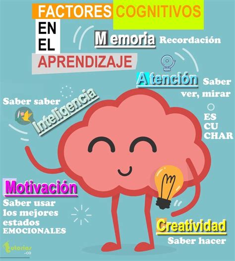 Factores Que Influyen En El Aprendizaje Cognitivos Themeloader