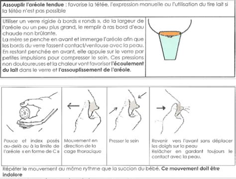 Bien débuter lallaitement au sein Pedia Santé Association Réseau