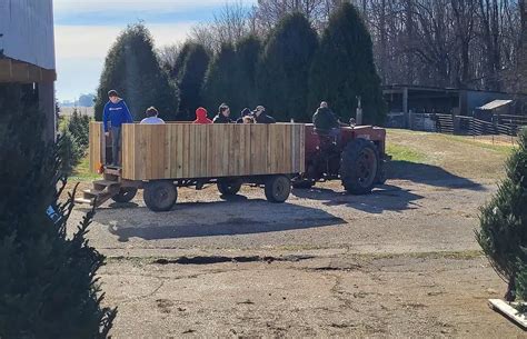 The Best Christmas Tree Farms Near Indianapolis Indys Child