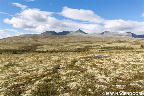 Rondane National Park