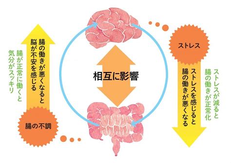 便秘改善で脱不眠腸と脳の深い関係 biolussalonのブログ