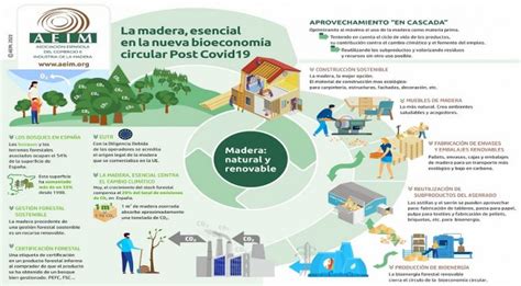 La madera esencial en la nueva bioeconomía circular poscoronavirus