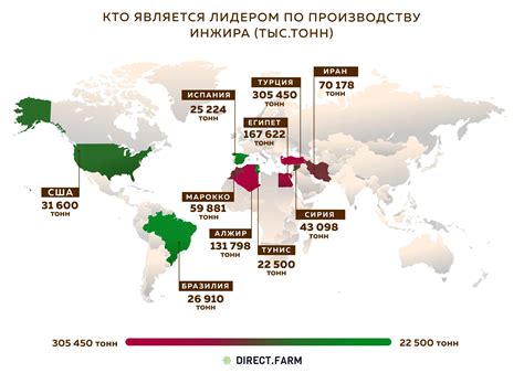 Страны-лидеры по производству инжира | Пикабу