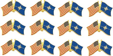 Box Of 12 Nato And Us Crossed Flag Lapel Pins Nato