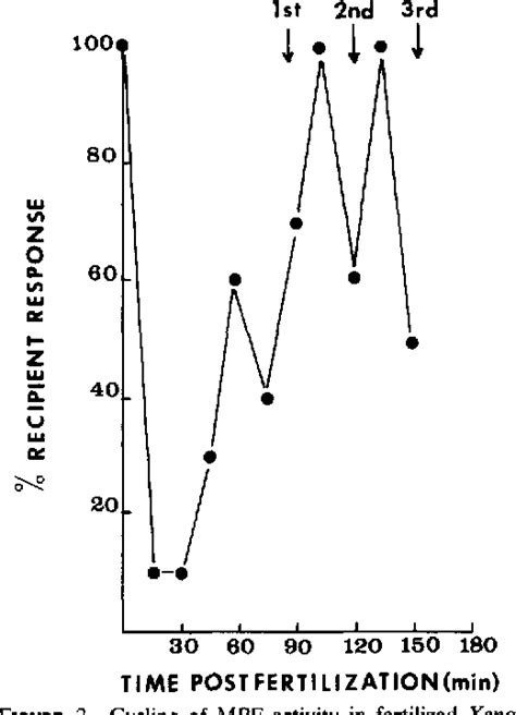 Figure From The Cyclic Behavior Of A Cytoplasmic Factor Controlling