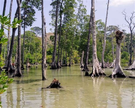 2022 O Que Fazer Em Ilha De Havelock Os 10 Melhores Pontos Turísticos Tripadvisor