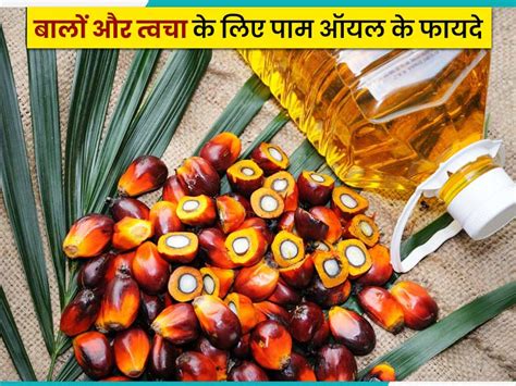 बालों और त्वचा के लिए पाम ऑयल ताड़ का तेल के 5 फायदे Palm Oil Benefits For Hair And Skin In