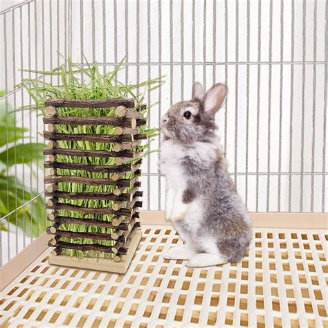 A Small Rabbit Sitting Next To A Plant