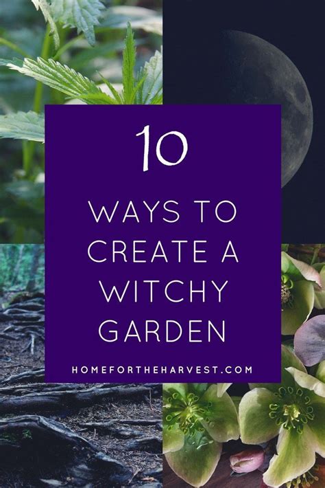 How To Create A Witchy Garden Cultivate Plant Magick And Nurture