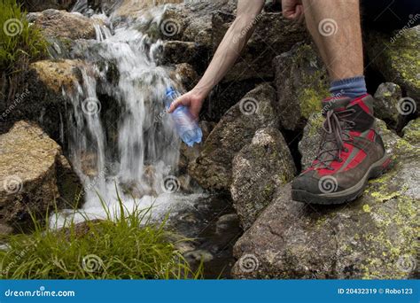 Healthy Fresh Water Stock Image Image Of Water Brook 20432319