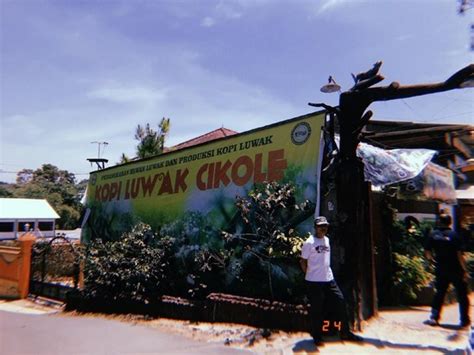 Carta De Penangkaran Luwak CV Kopi Luwak Cikole Lembang