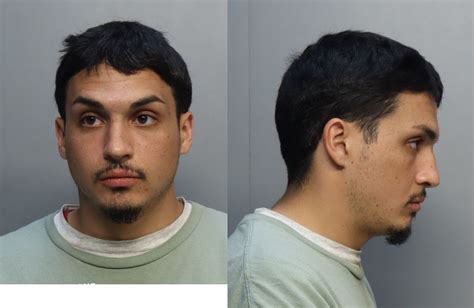 Montalvo Alejandro Jonas Miami Dade County Mugshots Zone