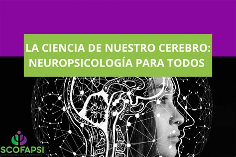 La Ciencia de Nuestro Cerebro Neuropsicología para Todos Blog Ascofapsi