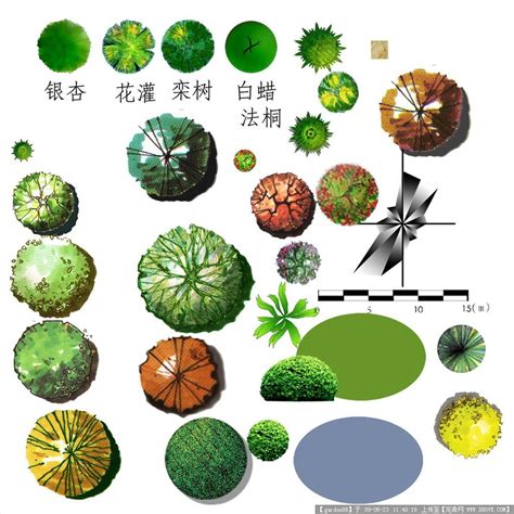 树平面图ps素材草地贴图素材植物平面素材第3页大山谷图库