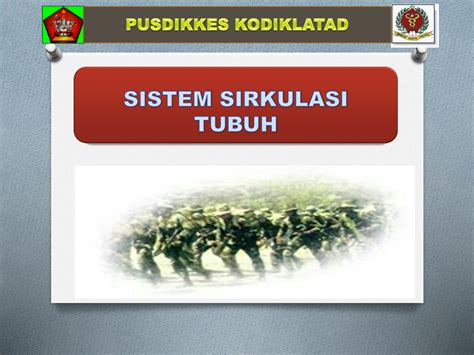 solution sistem sirkulasi tubuh studypool