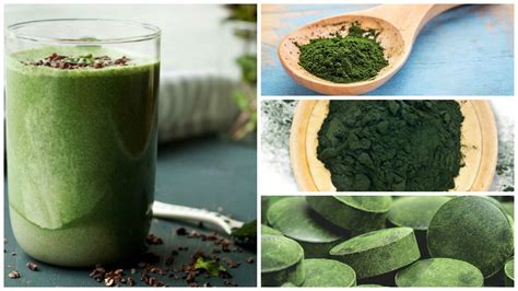 Chlorella Alga Propiedades Beneficios Y C Mo Tomarla Bien