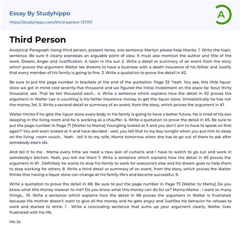 Third Person Essay Example StudyHippo