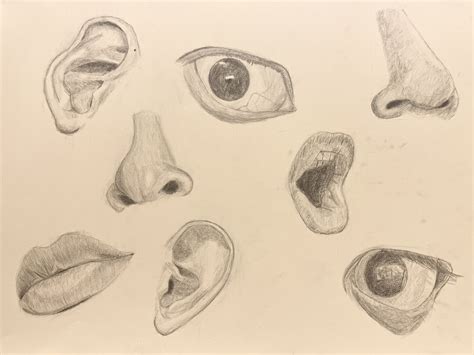 Artstation Face Study