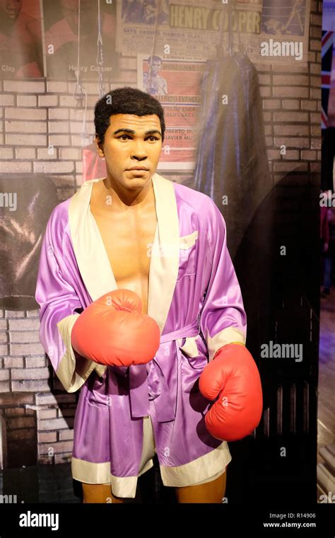 Cassius Clay High Resolution Stock Photography And Images Alamy