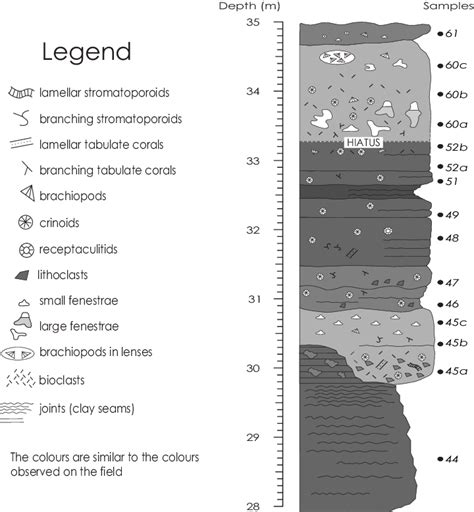 Figure 1 From StratigrapheR Concepts For Litholog Generation In R