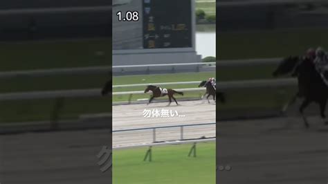 チャーチモード勝利目前で鮫島騎手落馬 京都2r3歳未勝利 20230527 競馬動画まとめ