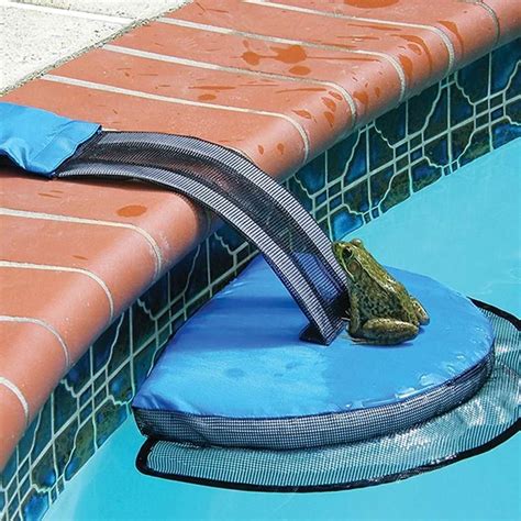 Froglog Animal Saving Escape Ramp For Pool In 2021 Pool Spa Pool