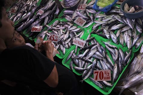 Tinutugis Ng Da Ang Iligal Na Paglilipat Ng Galunggong Mackerel