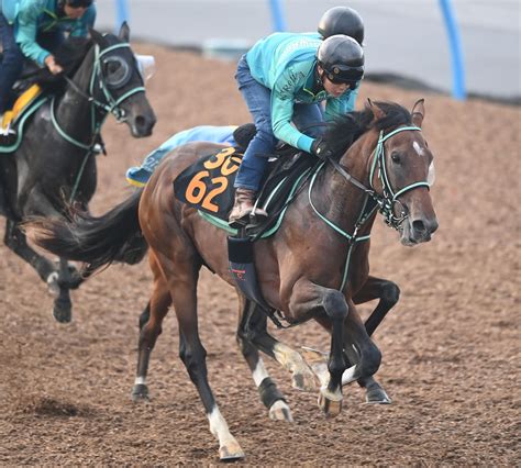 【新馬戦】厩舎期待の良血馬ヘヴンウィンド出陣 黒岩師「初戦から力は出せる」 競馬ニュース Netkeiba