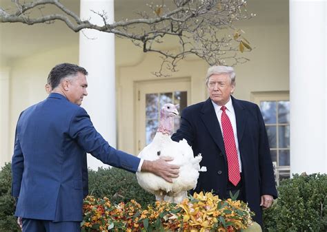 VIDEO President Donald Trump Pardons Thanksgiving Turkey Roasts