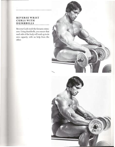 Fitness equipment edmonton, arnold schwarzenegger encyclopedia modern bodybuilding diet