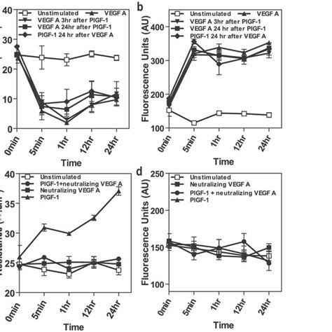 Plgf 1 Alone Stabilizes Ajs In Microvascular Endothelial Cells