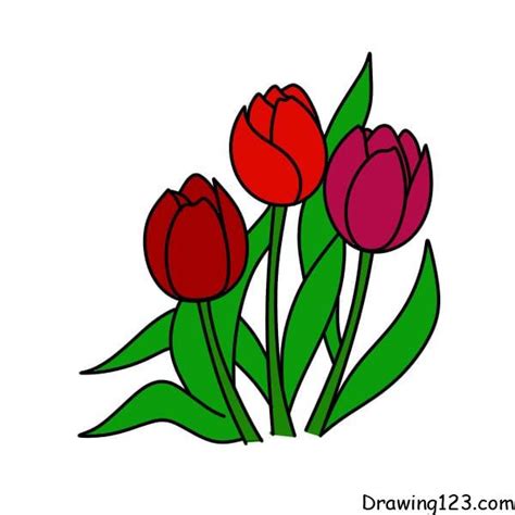 Drawing Tulips Step 7 1 Tekenen