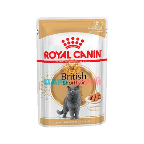 Royal Canin (Роял Канин) - BRITISH SHORTHAIR, корм для кошек британской ...