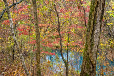 Round Spring In The Ozarks Vern Clevenger Photography