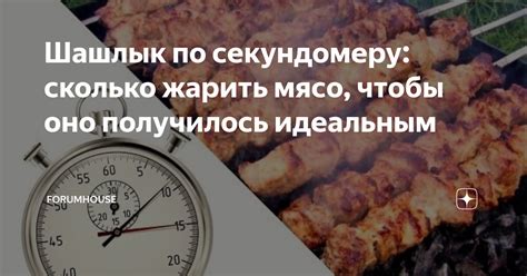 Шашлык по секундомеру: сколько жарить мясо, чтобы оно получилось ...