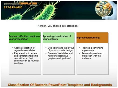 Classification Of Bacteria Power Point Templates And Backgrounds Ppt