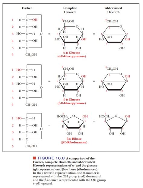 Sugars Their Structures And Stereochemistry