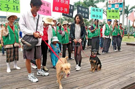 絕育代替撲殺法案 愛狗人相挺 地方 自由時報電子報