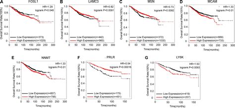 Frontiers Integrative Analysis Of The Doxorubicin Associated LncRNA