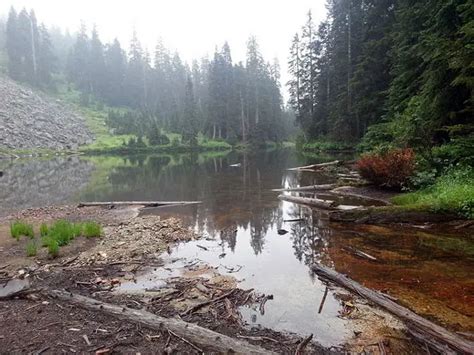 Lynn Lake Hike in North Vancouver | Outdoor Vancouver