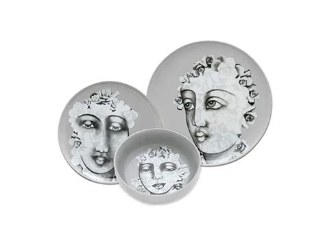 Dinnerware 12pc Set Succulent Faces Penmark
