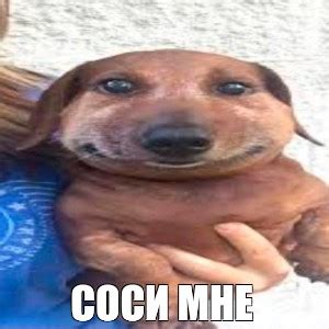Meme: "СОСИ МНЕ" - All Templates - Meme-arsenal.com