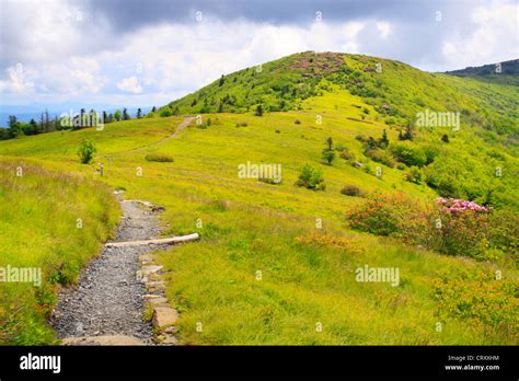 Along Appalachian Trail In Engine Gap Look At Jane Bald Roan Mountain