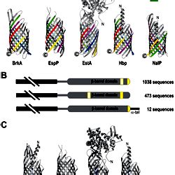 Conserved sequence motifs are not spatially conserved in tertiary ... 
