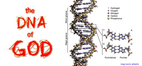 God Is Visible In The Molecules Of Life Dna And Proteins 58 Off