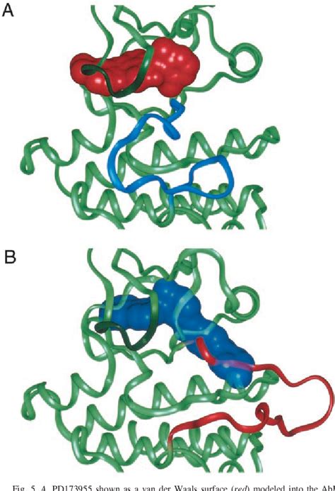 Figure 5 From Crystal Structures Of The Kinase Domain Of C Abl In