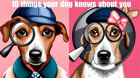 10 Things Your Dog Knows About You Youtube